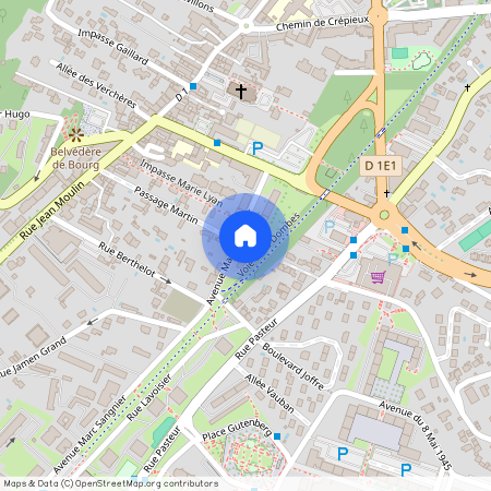 69300, Caluire Et Cuire