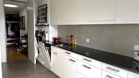 4½ Zimmer-Attikawohnung in Zürich - Kreis 11, möbliert, auf Zeit - Photo 4