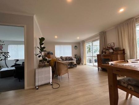 Modern Matakana Village central - Photo 3