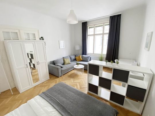 Münzwardeingasse Top 6 Zimmer 1 - Foto 1