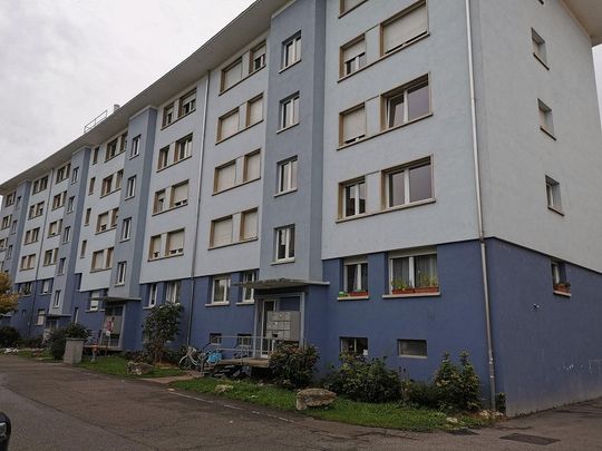 Ihr neues Zuhause - Zentral in Solothurn - Photo 1