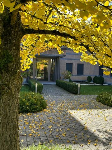 Penthouse te huur - Foto 2