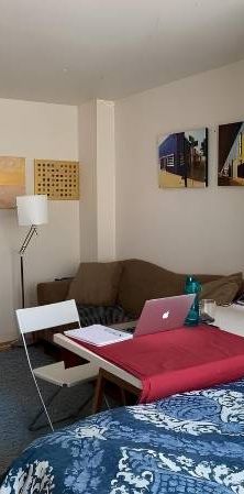 1 BED-RM STUDIO RENTAL /Kitsilano/Greektown/CAT FRIENDLY - Photo 1