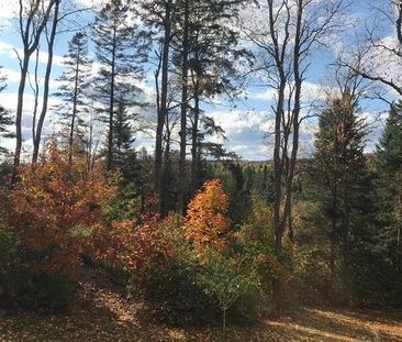 3 1/2 tout inclus à 5 min du CHUS - Photo 4