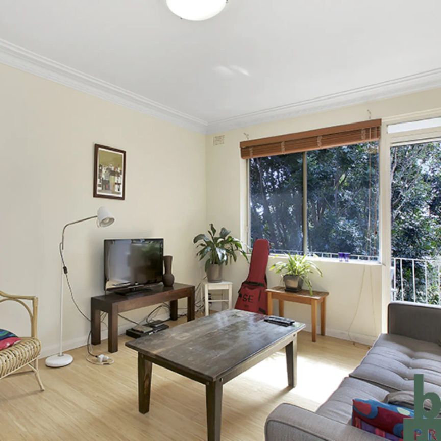 Peaceful Apartment in Leafy Locale - Photo 1