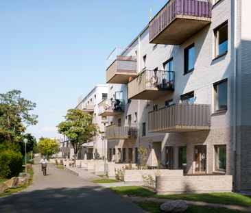 Sankt Hans Gränd 52 - Photo 5