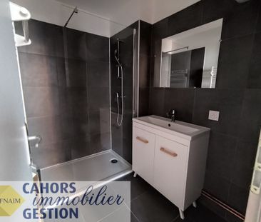 Location Appartement 1 pièce 41m² CAHORS 46000 - Photo 2