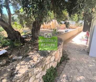 Διαμέρισμα για ενοικίαση Περιβόλια (Θέρισος) - Φωτογραφία 6