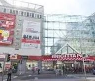 Niederösterreicher, Burgenländer oder Steirer auf der Suche nach Ha... - Photo 1