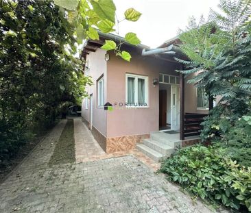 Casa de închiriat în Scaeni, foarte aproape de Ploiești - Fotografie 6