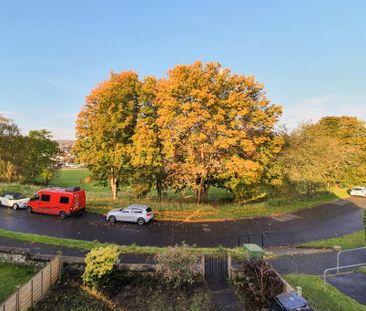 3 bedroom semi-detached house to rent - Photo 6