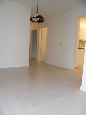 Charming apartment in a central location in Küssnacht am Rigi - Photo 5