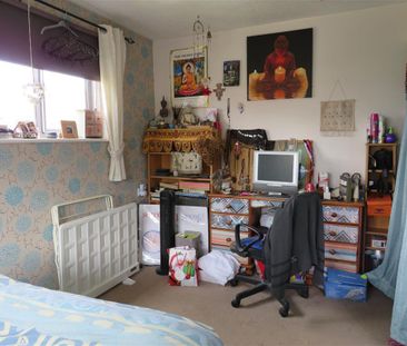 Lime Tree Avenue - Photo 4