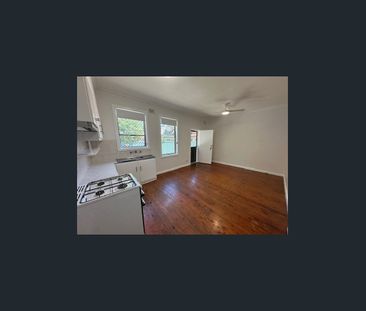 Freshly painted one bedroom unit just a 10 minute walk to Newcastle... - Photo 3