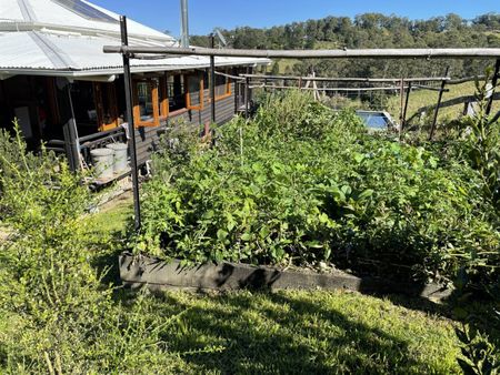 Acreage Living At Its Absolute Finest - Photo 2