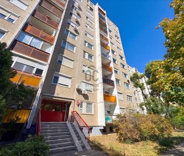 Kiadó jó állapotú panel lakás - Budapest IV. kerület - Fotó 4