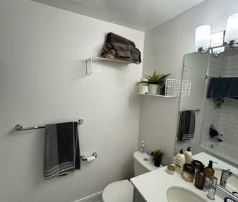 1 Bedroom 1 Bath - 5 month Sublet With Option To Extend - Photo 4