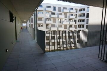 Frühlingserwachen - Photo 3