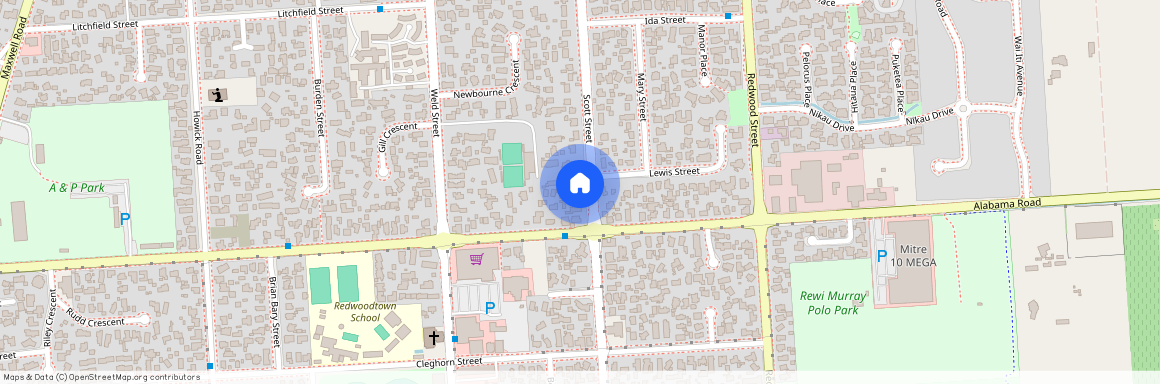 196 Scott Street, Redwoodtown, Marlborough