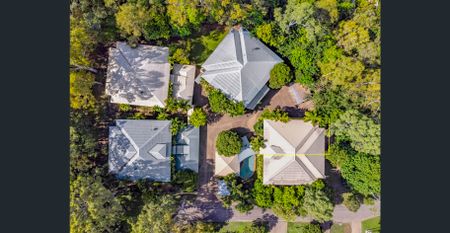 Riverfront tree top retreat minutes from the Hospital and University - Photo 3