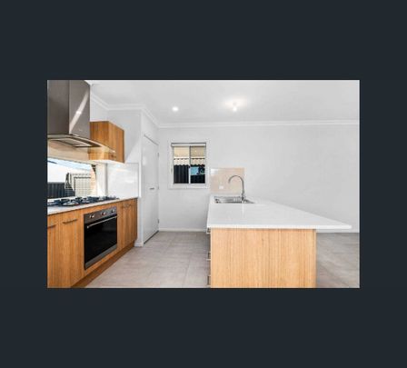 19 Peartree Circuit, Werrington, NSW 2747 - Photo 1