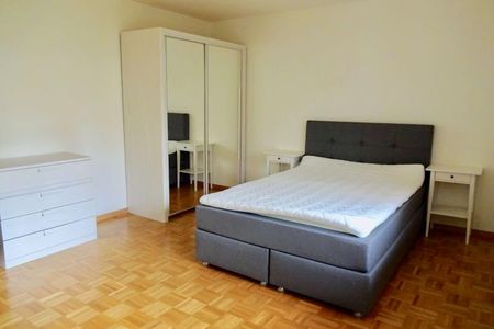 Mickey #3 - Experience 60's Charm in Zürich's Green Oasis - Photo 3