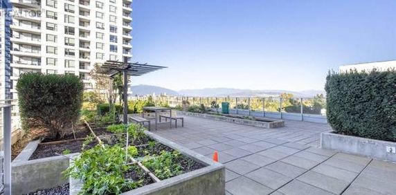 $2,550 / 1br /1den- 30th floor -Like New Elegant – 500ft2 - Joyce-Coll - Photo 2