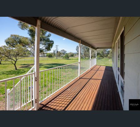 29 Galway Avenue, Gunnedah, NSW 2380 - Photo 3