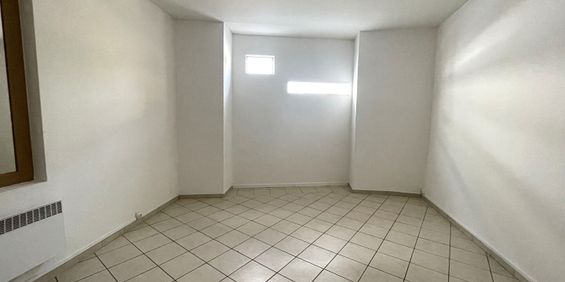 Location Appartement 1 pièce 24m² - Photo 3