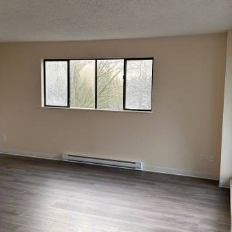 1-Bedroom Fully Renovated close to SkyTrain (Lougheed) - Photo 1