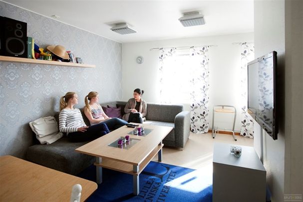 Professorsgatan 3C - Foto 1