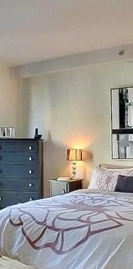 Superbe penthouse de 1000 pc sur 2 étages au coeur du Plateau Mont-Royal - Photo 1