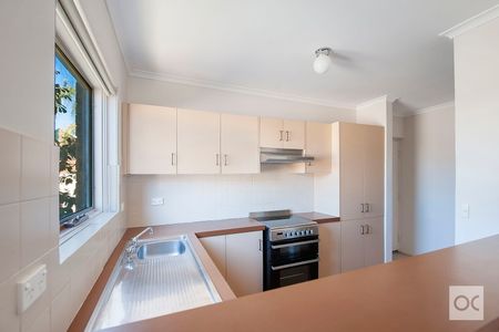 Unit 15/388 Carrington Street - Photo 3