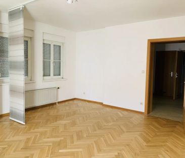 ++TERRASSE++ Lichtdurchflutete 3-Zimmer-Wohnung in Weiz - AB SOFORT... - Photo 2