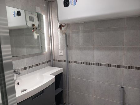 Location Appartement 2 pièces 27m² VILLENEUVE L ARCHEVEQUE 89190 - Photo 4