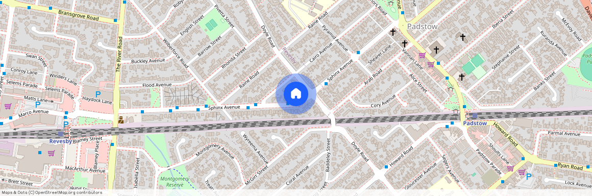 38A Sphinx Avenue, NSW 2212, Revesby