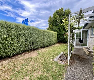 Hastings Central, 2 bedrooms - Photo 2