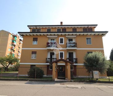 Trilocale in affitto - Photo 1