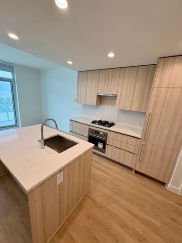 Beautiful 16th Floor Condo – BRAND NEW – WATER BY THE PARK - Photo 3