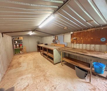 Charming Home with Large Yard + Shed - Photo 3