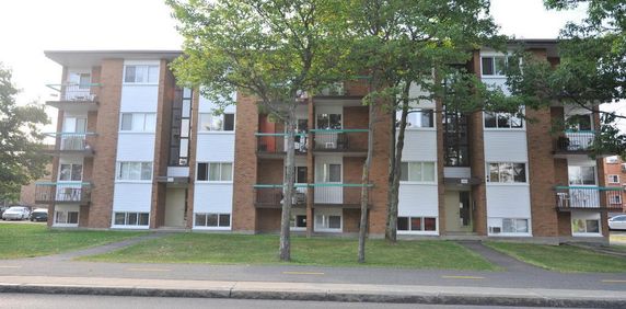 2 1/2 Ste-Foy - Tout inclus - près université - 1er mai - Photo 2