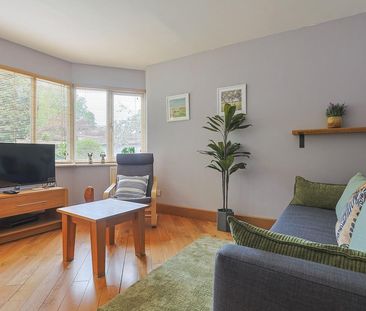 Addison Court - Photo 4