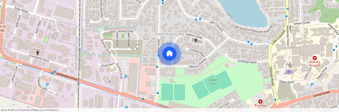 54B Kowhai Street, Hamilton Lake