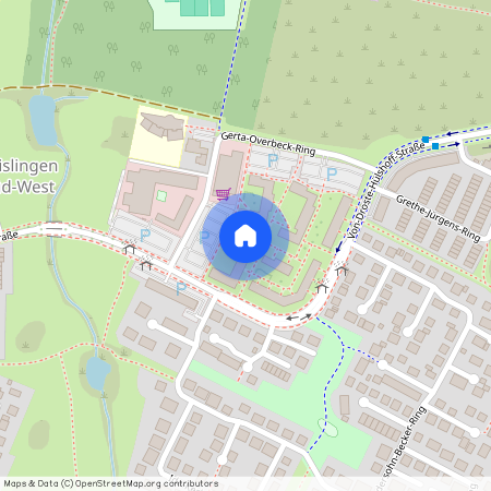 V.-Droste-Hülshoff-Str. 37, 38446 Wolfsburg