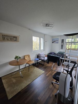 4.5 Zimmer, 114 m², 4. Stock - Photo 1