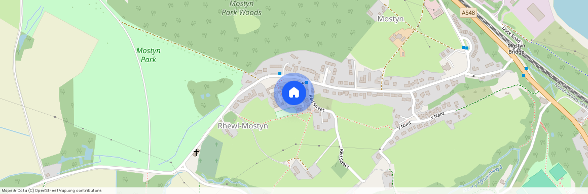 Maes Alarch, Rhewl, Holywell, CH8 9QA