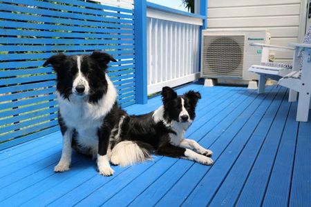 Fully Renovated - Free Internet and Washer/Dryer - Photo 3