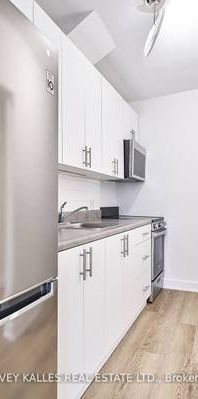 2 MONTH'S FREE RENT! Recent renovations hearty of the annex 700+sqft! - Photo 1