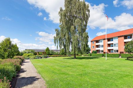 Afd. 5 Pilevang - Foto 3