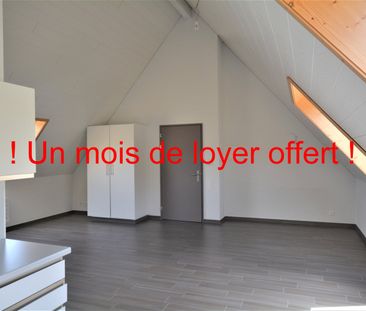Joli studio de 47 m2 à Fontenais - Foto 6